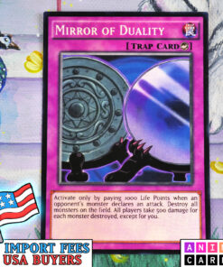 Mirror of Duality