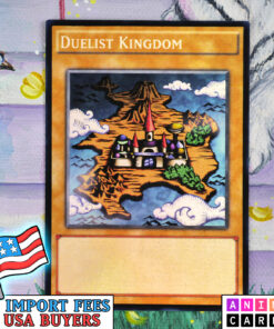 Duelist Kingdom