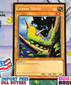 Larvae Moth