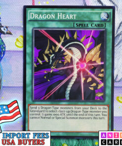 Dragon Heart