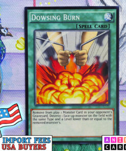 Dowsing Burn
