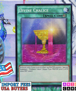 Divine Chalice
