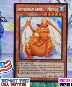 Amphibian Angel - Mifrog