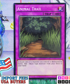 Animal Trail