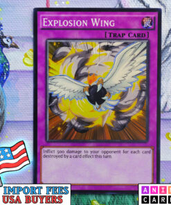 Explosion Wing