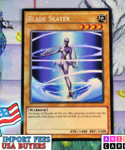 Blade Skater