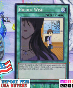 Hidden Wish