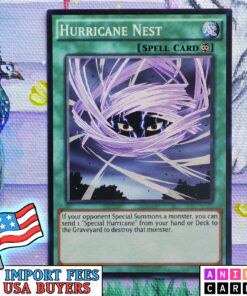 Hurricane Nest