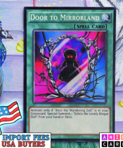 Door to Mirrorland
