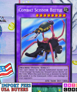 Combat Scissor Beetle
