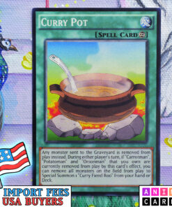 Curry Pot