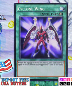 Cyclone Wing