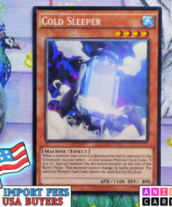 Cold Sleeper