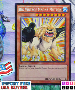Big Vintage Magna Mutton