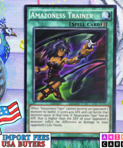 Amazoness Trainer