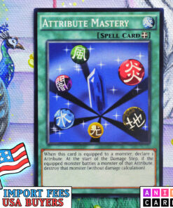 Attribute Mastery