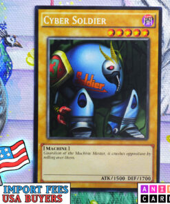 Cyber Soldier