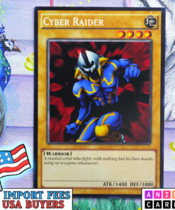 Cyber Raider