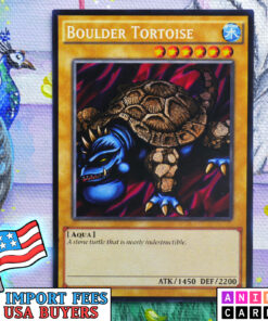 Boulder Tortoise