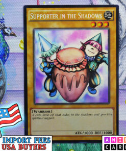 Supporter in the Shadows