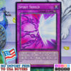 Spirit Shield