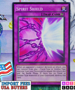 Spirit Shield