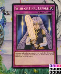 Wish of Final Effort