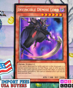 Invincible Demise Lord