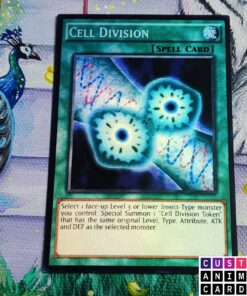 Cell Division