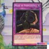 Mask of Perplexity