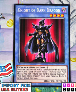 Knight of Dark Dragon