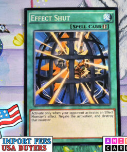 Effect Shut