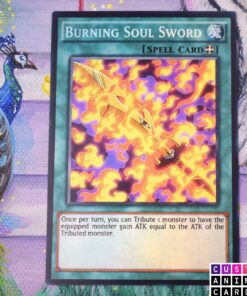 Burning Soul Sword