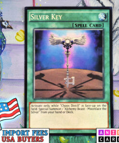 Silver Key