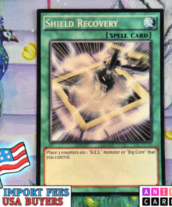Shield Recovery