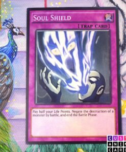 Soul Shield