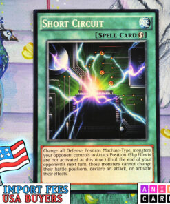 Short Circuit
