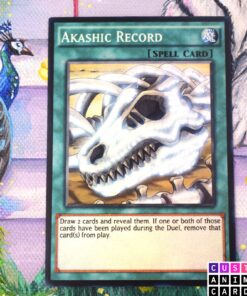 Akashic Record Will