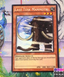 Last Tusk Mammoth