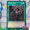 Spider Web