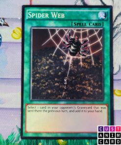 Spider Web