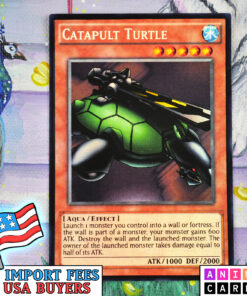 Catapult Turtle