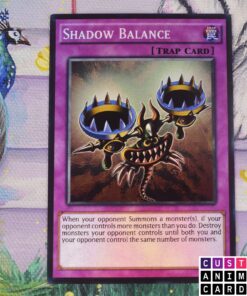 Shadow Balance