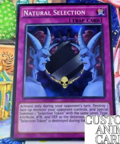 Natural Selection